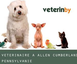 vétérinaire à Allen (Cumberland, Pennsylvanie)