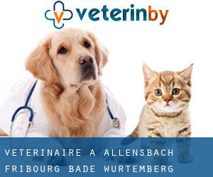 vétérinaire à Allensbach (Fribourg, Bade-Wurtemberg)