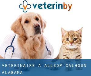 vétérinaire à Allsop (Calhoun, Alabama)