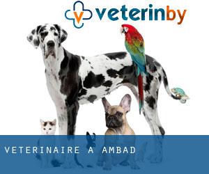 vétérinaire à Ambad