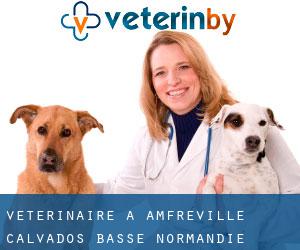 vétérinaire à Amfreville (Calvados, Basse-Normandie)