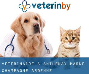 vétérinaire à Anthenay (Marne, Champagne-Ardenne)