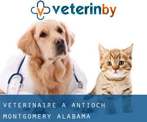 vétérinaire à Antioch (Montgomery, Alabama)