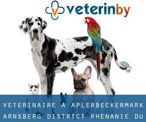vétérinaire à Aplerbeckermark (Arnsberg District, Rhénanie du Nord-Westphalie)