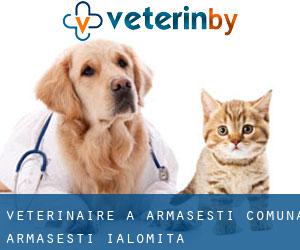 vétérinaire à Armăşeşti (Comuna Armăşeşti, Ialomiţa)