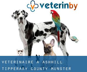 vétérinaire à Ashhill (Tipperary County, Munster)