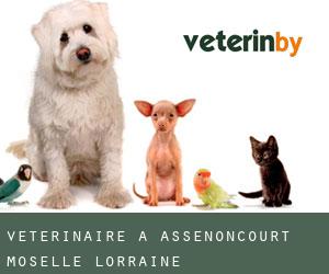 vétérinaire à Assenoncourt (Moselle, Lorraine)