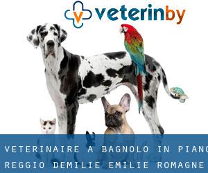 vétérinaire à Bagnolo in Piano (Reggio d'Émilie, Émilie-Romagne)