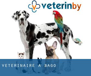 vétérinaire à Bago