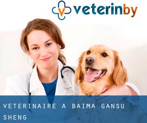 vétérinaire à Baima (Gansu Sheng)