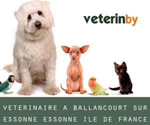 vétérinaire à Ballancourt-sur-Essonne (Essonne, Île-de-France)