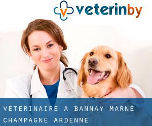 vétérinaire à Bannay (Marne, Champagne-Ardenne)