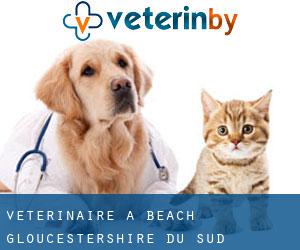 vétérinaire à Beach (Gloucestershire du Sud, Angleterre)