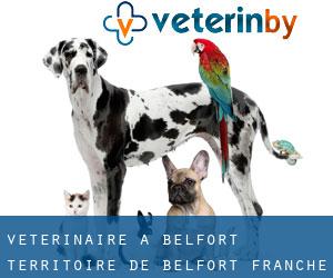vétérinaire à Belfort (Territoire de Belfort, Franche-Comté)