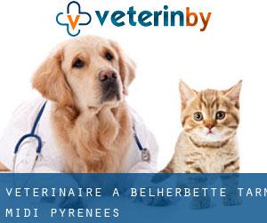 vétérinaire à Belherbette (Tarn, Midi-Pyrénées)