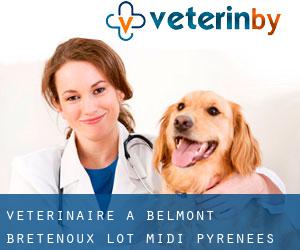 vétérinaire à Belmont-Bretenoux (Lot, Midi-Pyrénées)