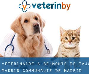 vétérinaire à Belmonte de Tajo (Madrid, Communauté de Madrid)