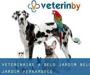 vétérinaire à Belo Jardim (Belo Jardim, Pernambuco) vétérinaire à Belo Jardim (Belo Jardim, Pernambuco)