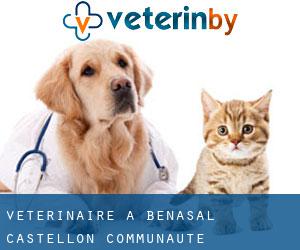 vétérinaire à Benasal (Castellon, Communauté Valencienne)