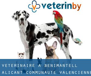 vétérinaire à Benimantell (Alicant, Communauté Valencienne)
