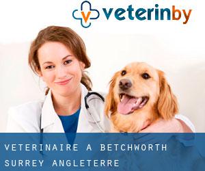 vétérinaire à Betchworth (Surrey, Angleterre)