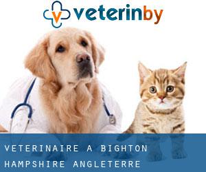 vétérinaire à Bighton (Hampshire, Angleterre)