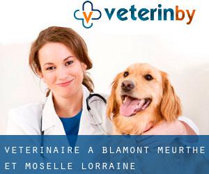 vétérinaire à Blâmont (Meurthe-et-Moselle, Lorraine)