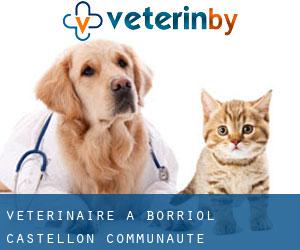 vétérinaire à Borriol (Castellon, Communauté Valencienne)