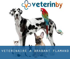 vétérinaire à Brabant-Flamand vétérinaire à Brabant-Flamand