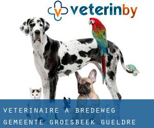 vétérinaire à Bredeweg (Gemeente Groesbeek, Gueldre) vétérinaire à Bredeweg (Gemeente Groesbeek, Gueldre)