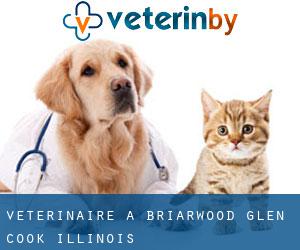 vétérinaire à Briarwood Glen (Cook, Illinois)