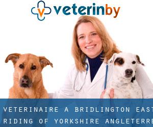 vétérinaire à Bridlington (East Riding of Yorkshire, Angleterre)