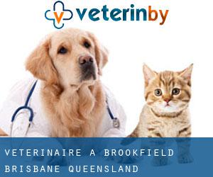 vétérinaire à Brookfield (Brisbane, Queensland)