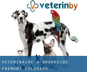 vétérinaire à Brookside (Fremont, Colorado) vétérinaire à Brookside (Fremont, Colorado)