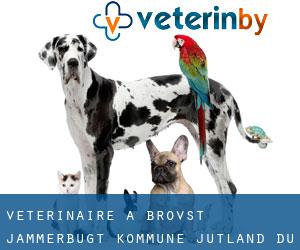 vétérinaire à Brovst (Jammerbugt Kommune, Jutland-du-Nord)