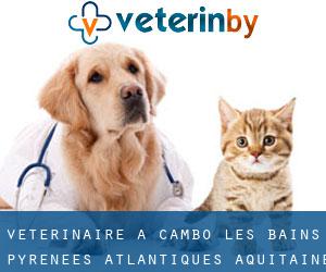 vétérinaire à Cambo-les-Bains (Pyrénées-Atlantiques, Aquitaine)