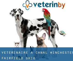 vétérinaire à Canal Winchester (Fairfield, Ohio)