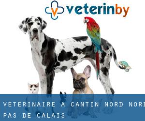 vétérinaire à Cantin (Nord, Nord-Pas-de-Calais)