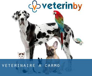 vétérinaire à Carmo