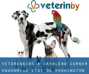 vétérinaire à Cavalero Corner (Snohomish, État de Washington)