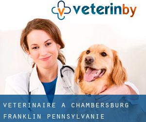 vétérinaire à Chambersburg (Franklin, Pennsylvanie)