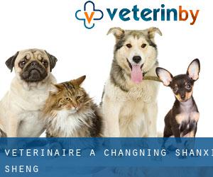 vétérinaire à Changning (Shanxi Sheng)