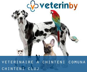 vétérinaire à Chinteni (Comuna Chinteni, Cluj)