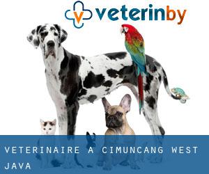 vétérinaire à Cimuncang (West Java)