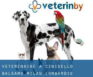 vétérinaire à Cinisello Balsamo (Milan, Lombardie) vétérinaire à Cinisello Balsamo (Milan, Lombardie)