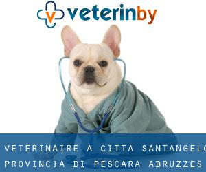 vétérinaire à Città Sant'Angelo (Provincia di Pescara, Abruzzes)