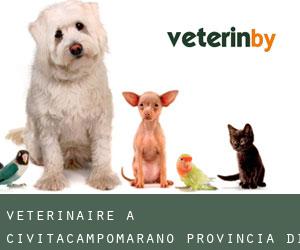 vétérinaire à Civitacampomarano (Provincia di Campobasso, Molise)