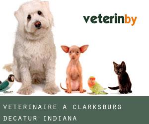 vétérinaire à Clarksburg (Decatur, Indiana)