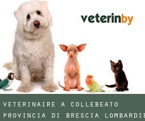 vétérinaire à Collebeato (Provincia di Brescia, Lombardie)