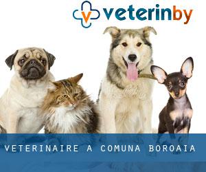 vétérinaire à Comuna Boroaia